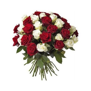 Букет из 31 белой и красной розы