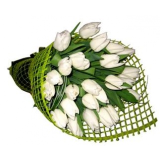 11 белых тюльпанов